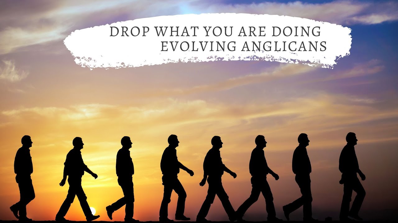 Drop what you are doing - Epiphany 3 - 2026