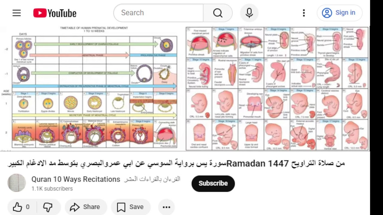 Live Quran  تلاوة صلاة برواية السوسي عن ابي عمرو البصري بتوسط مد الادغام الكبير Ramadan 1446