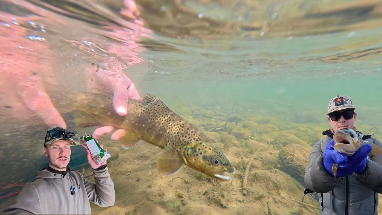 Browns and Rainbows: Fly Fishing in FREEZING Temps!