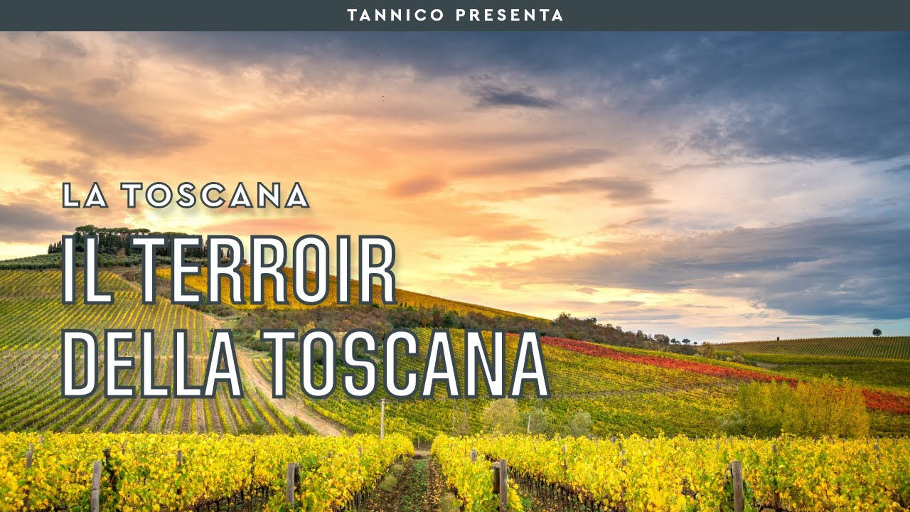 Il terroir toscano e le caratteristiche del vino | Tannico Flying School
