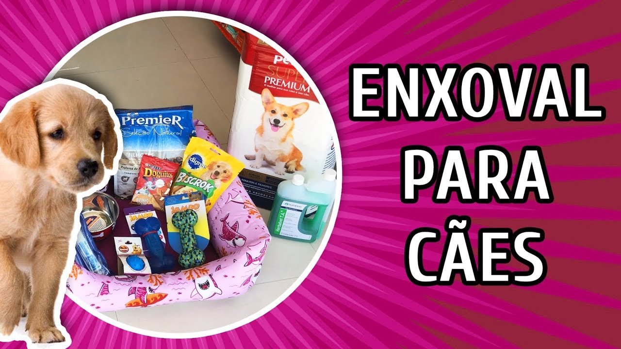 ENXOVAL COMPLETO PARA CACHORROS - FILHOTES OU ADULTOS