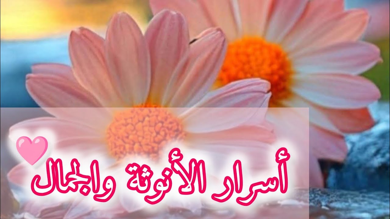 أسرار الأنوثة والجمال 👌🎀👑