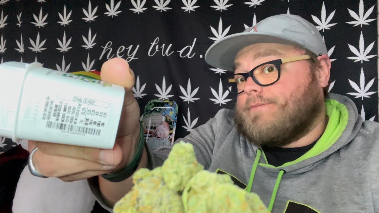 Citral OG Haze Review