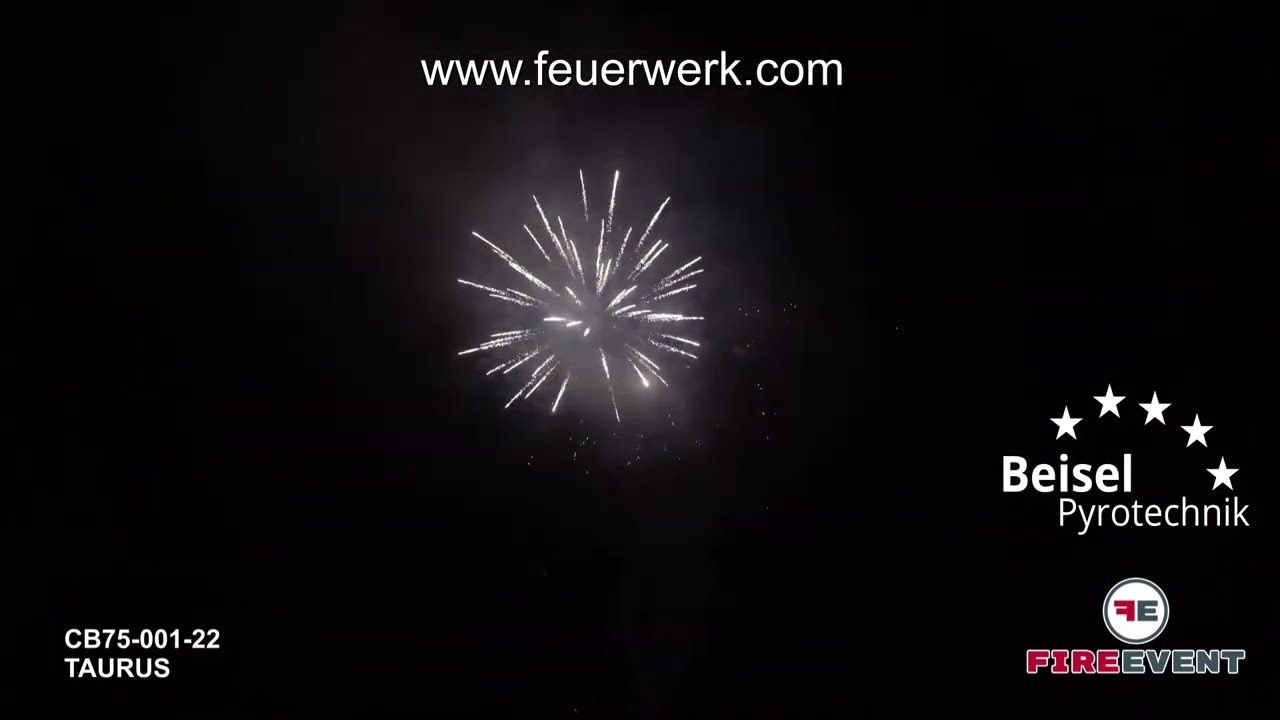 CB75-001-22 Taurus - Fire Event