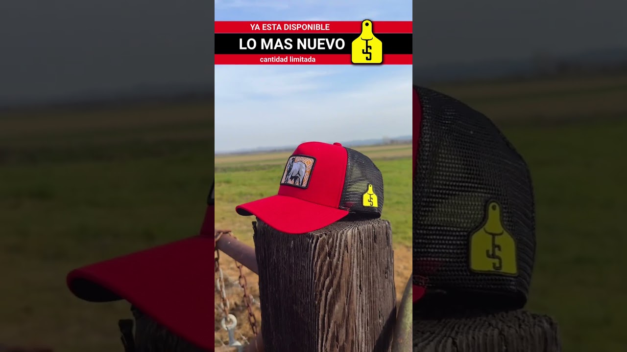lo mas nuevo de JS 