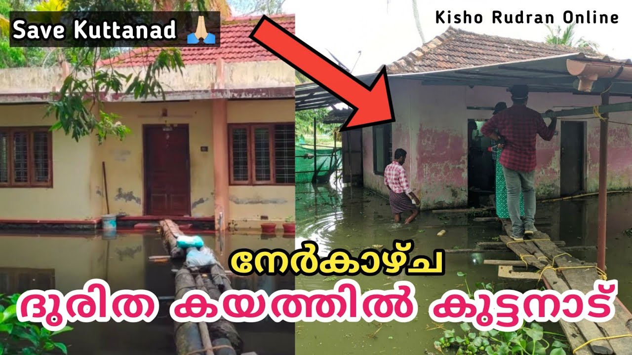 ദുരിത കയത്തിൽ കുട്ടനാട് | നേർകാഴ്ച 😥| രക്ഷിക്കൂ ഈ നാടിനെ 🙏🏻😕 | #SaveKuttanad | Kisho Rudran Online