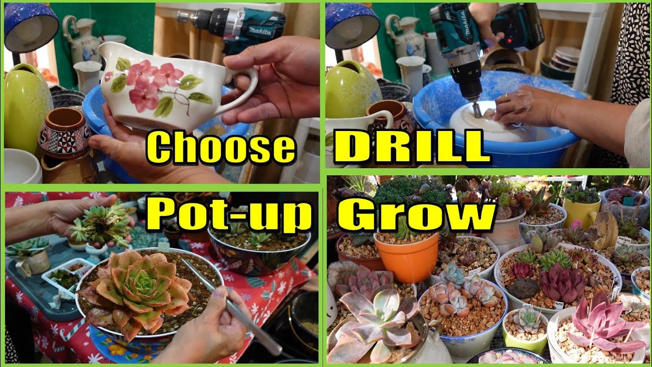How To CHOOSE PLANTER, DRILL HOLES & POT UP Succulents Worth Buying Again
