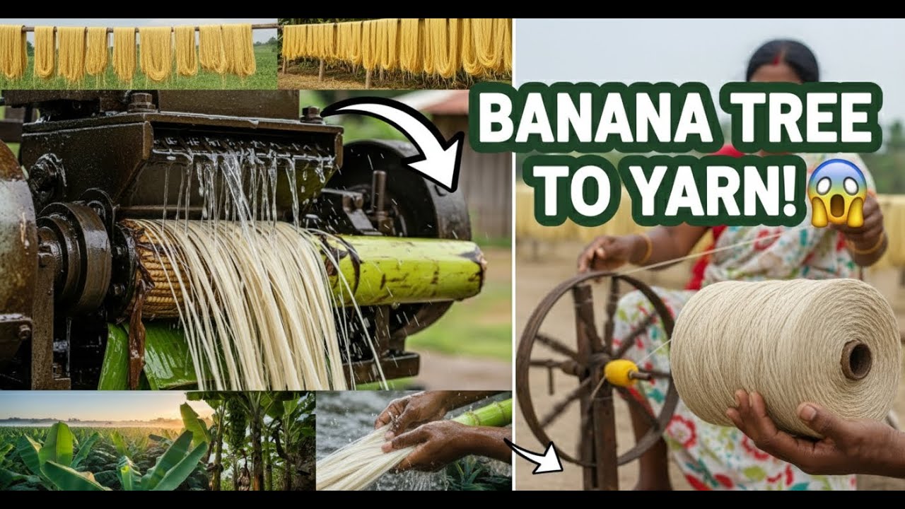 From Banana Tree to Yarn 🍌 | Traditional Fiber Making Process | Satisfying Craft