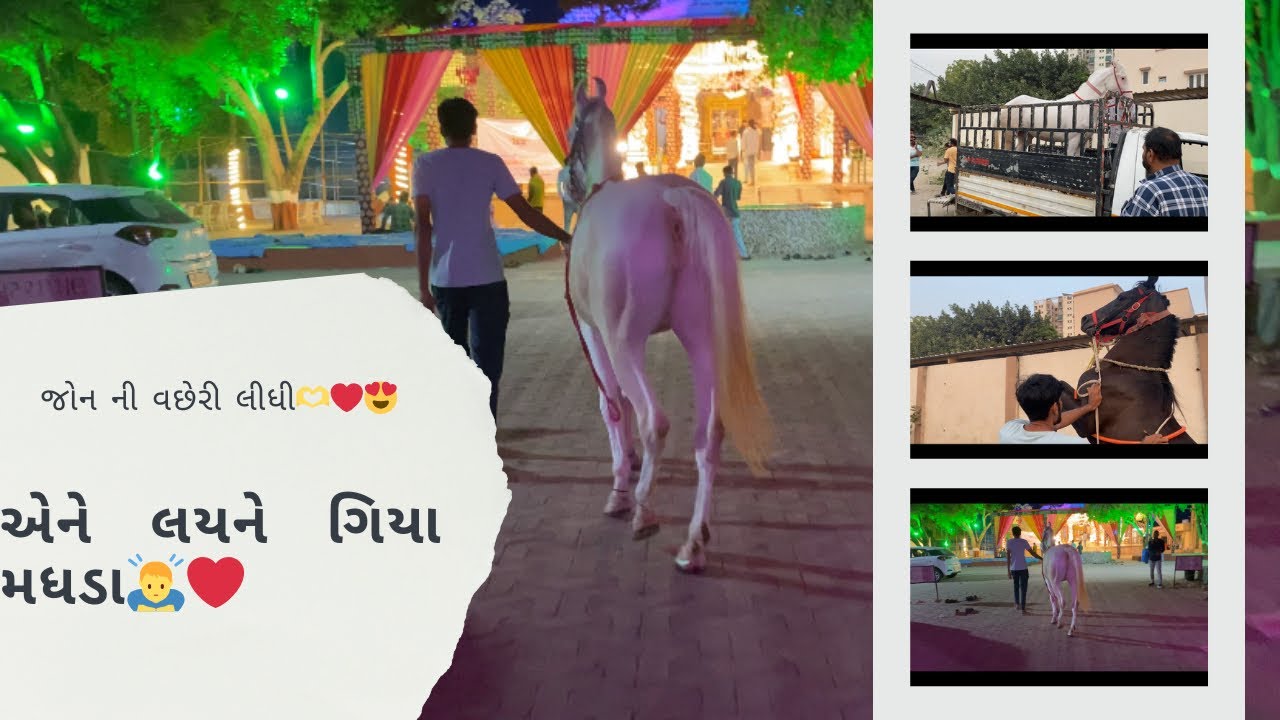 જોન ની વછેરી ને લયને ગિયા madhda🙇‍♂️🤍