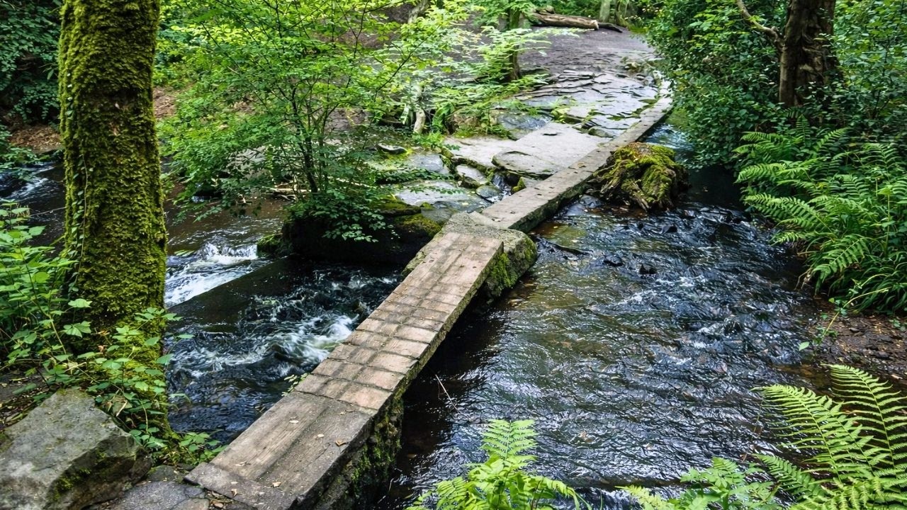 The Rivelin Valley Trail Walk, English Countryside 4K