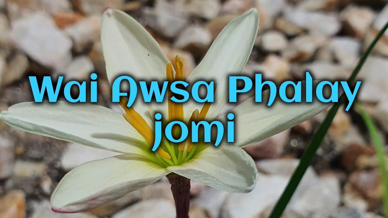 Wai Awsa Phalay jomi [vocal off]||Phub Dorji||Bhutanese song karaoke lyrics