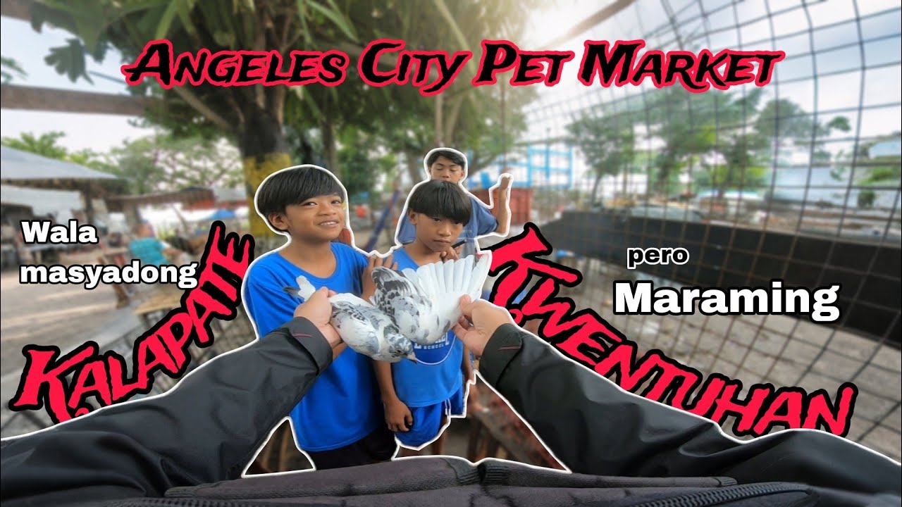 Kwentuhan at Kalapate sa Angeles City pet tiange - Batang Fancier at Buy and Seller na fancier 