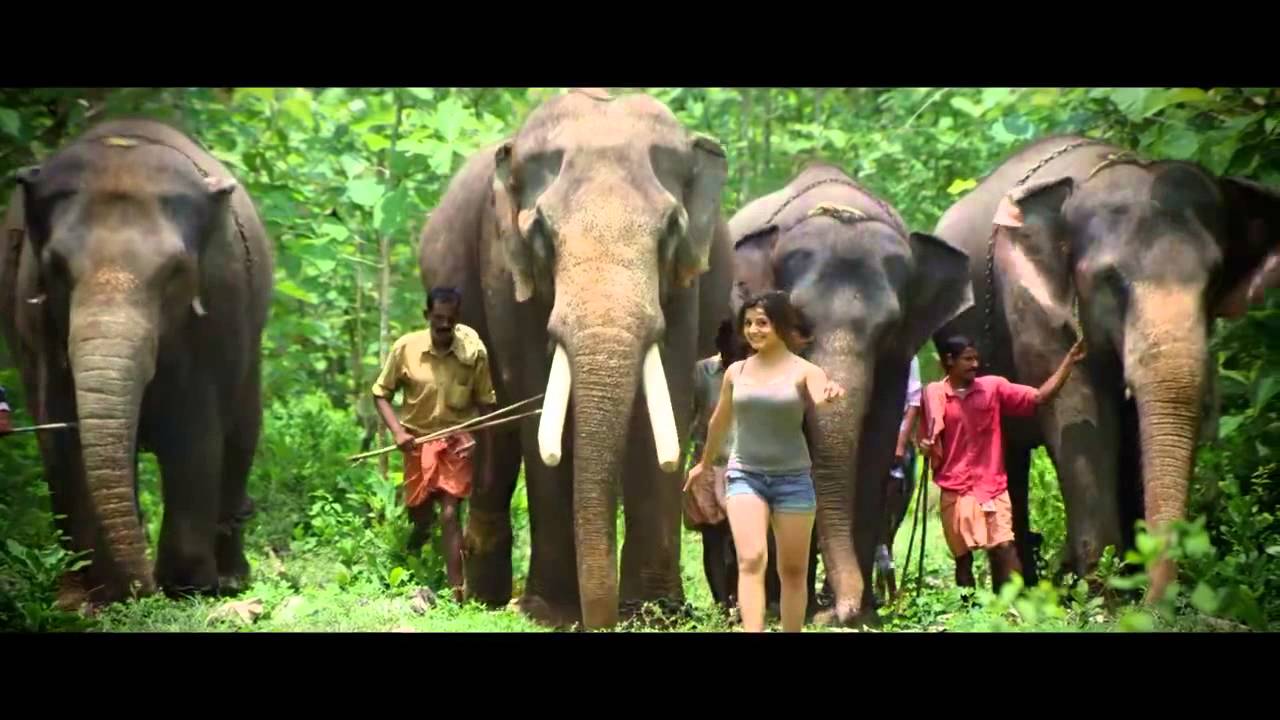 Incredible India Tourism - Pathanamthitta, Kerala, India