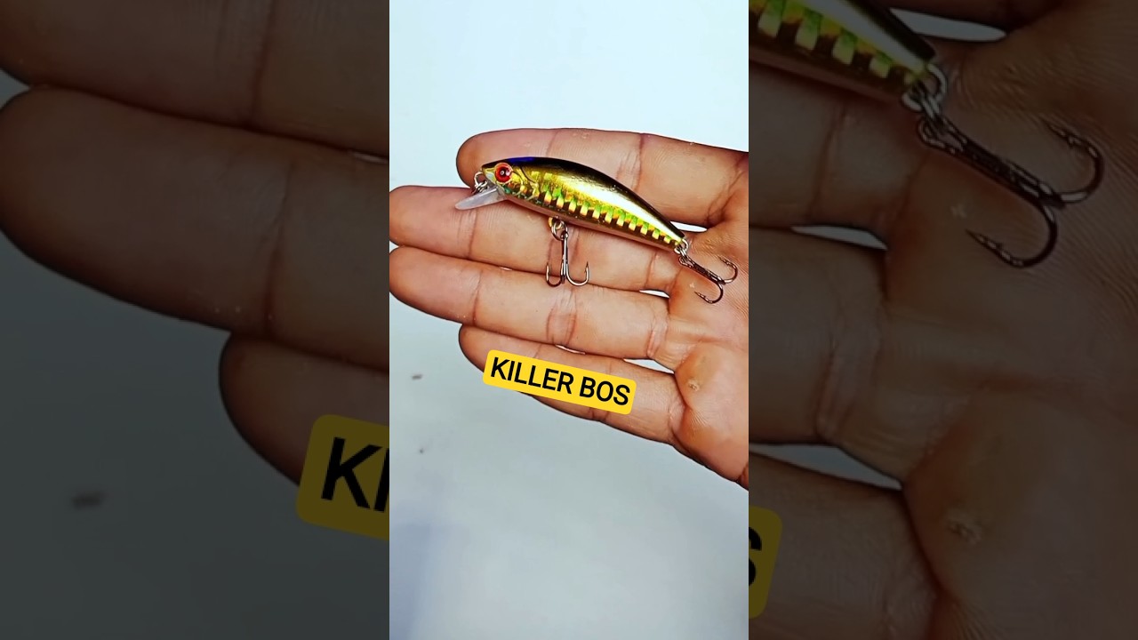 Review minnow umpan casting hampala gacor 