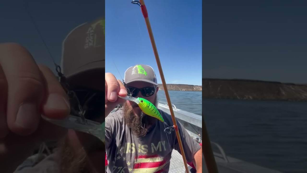 🎣 Our trolling setup is SLAYING crappie! Gear tips & bait secrets inside! 💥🐟 