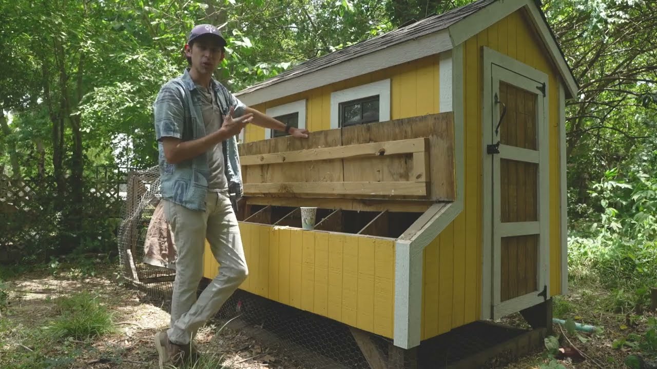 Backyard Chicken Coop Review! Cost to Build & Future Plans