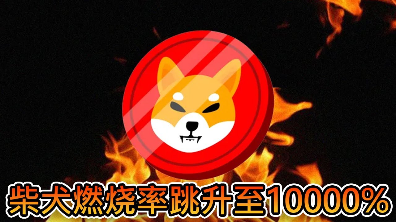 柴犬币燃烧率飙升至10785%！超过120000个SHIB被永久移除供应｜Cryptonews