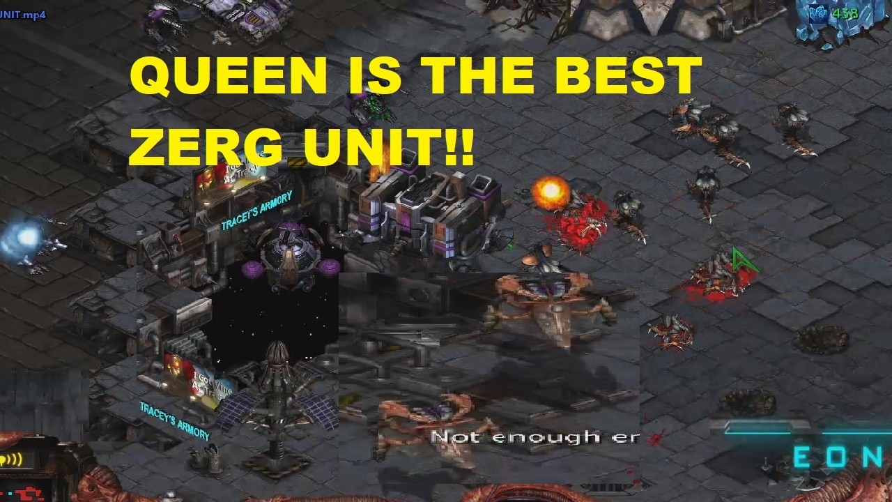 QUEEEN IS THE BEST ZERG UNIT