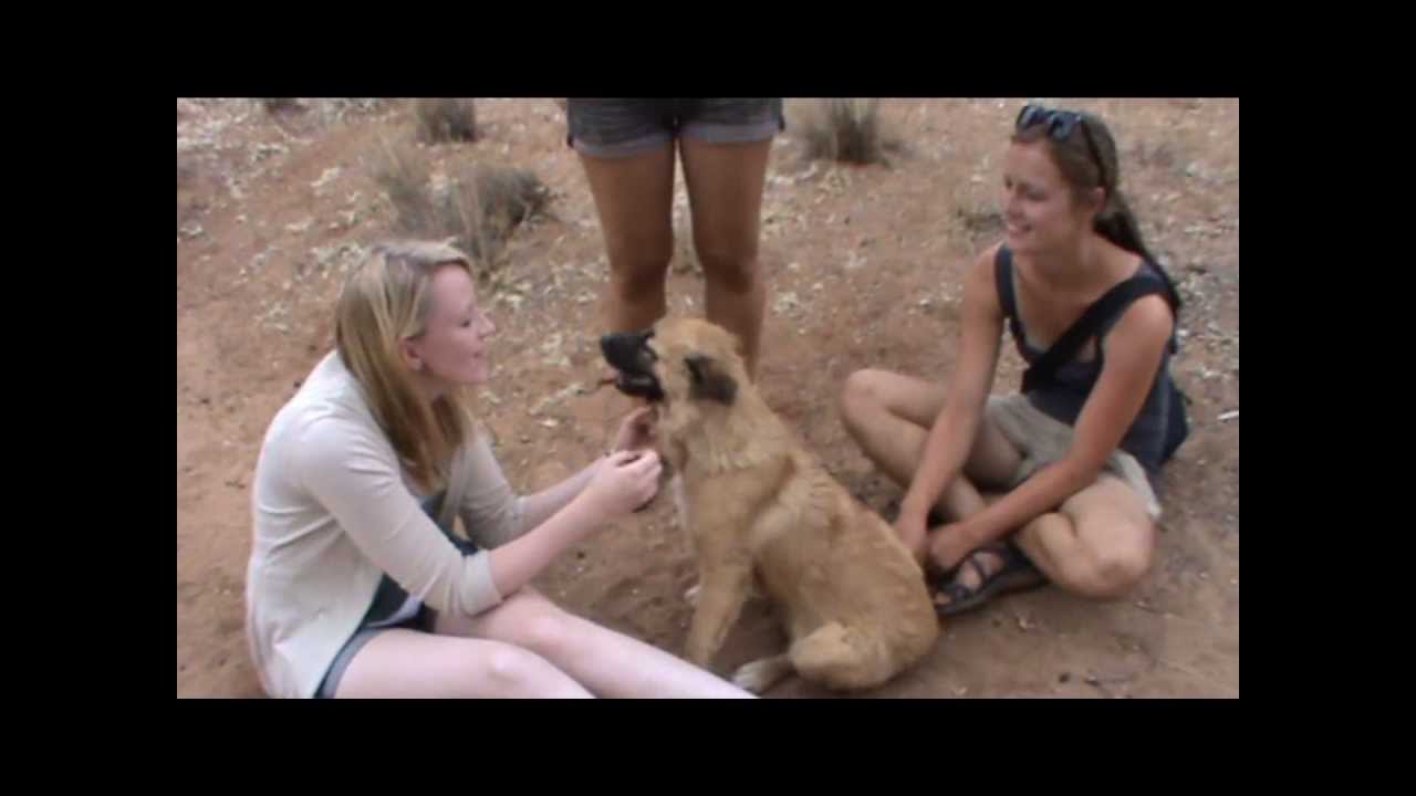 Harnas 2012 Namibia