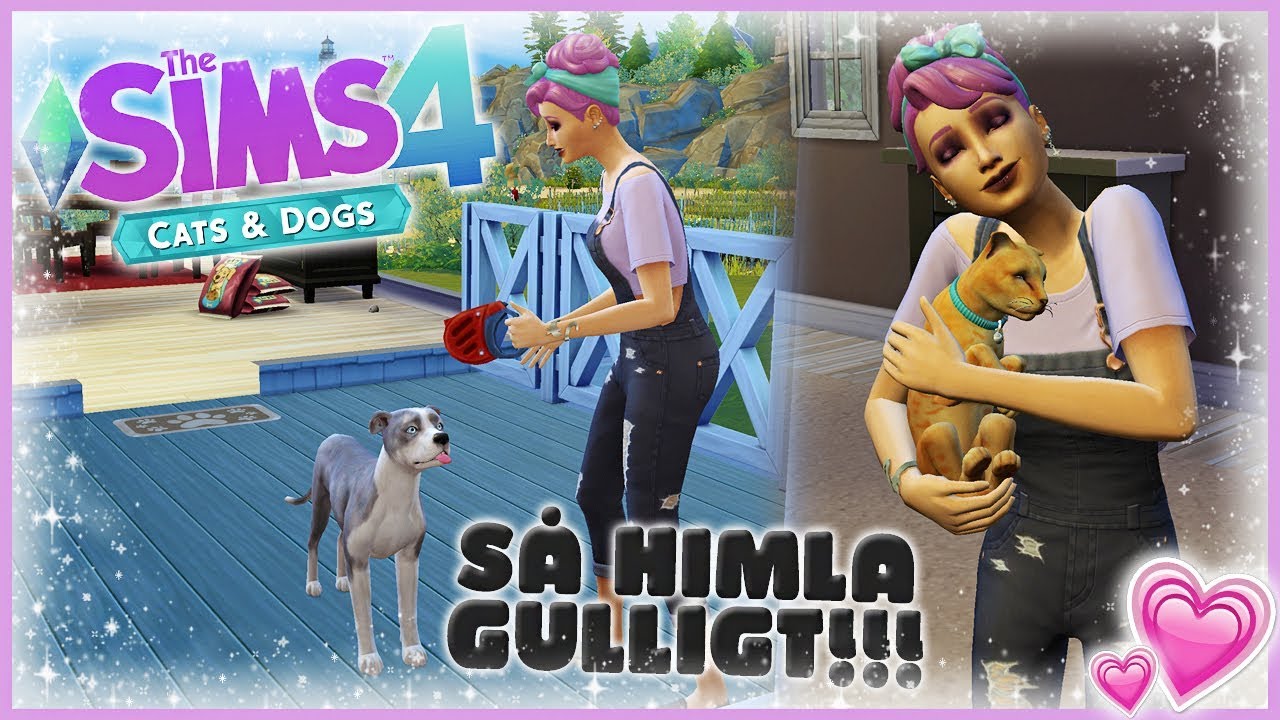 THE SIMS 4 HUNDAR & KATTER ❤ Testar de nya sakerna | GAMEPLAY
