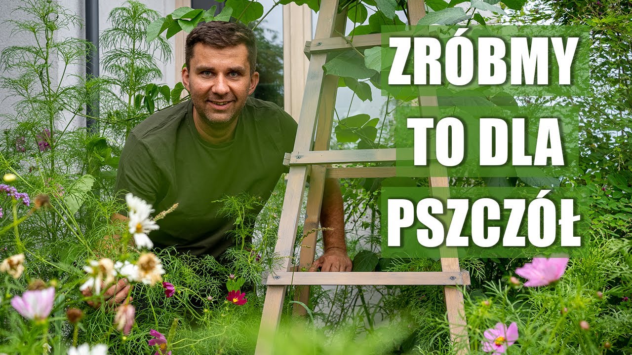 Pszczoły je uwielbiają. Rośliny kwitnące dla pszczół!. Rośliny miododajne.