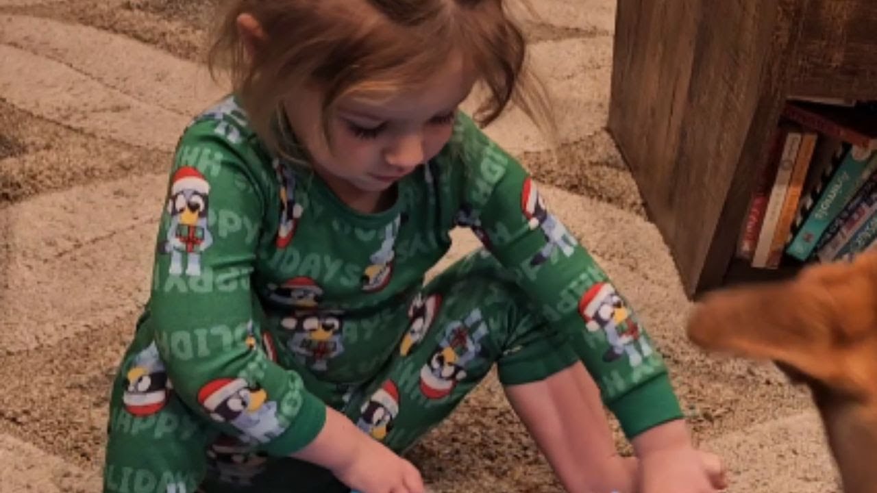 Christmas Surprise: Girl's Joy Unwrapping Grinch Blanket Gift || WooGlobe