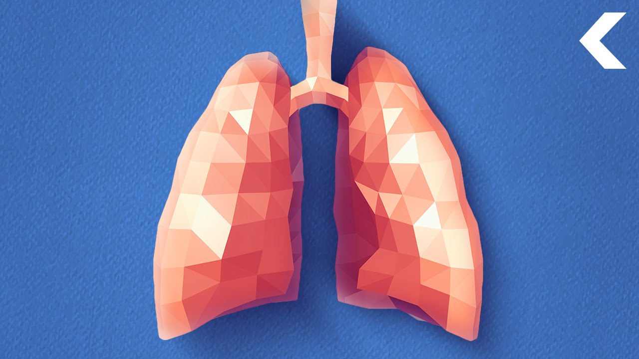 Your Body Is Designed to Attack a New Organ, Now We Know Why