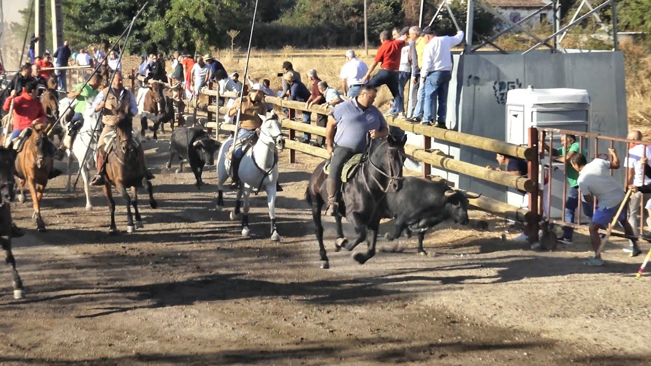 Tordesillas 2025 Fiestas de la Peña, Encierro del miercoles