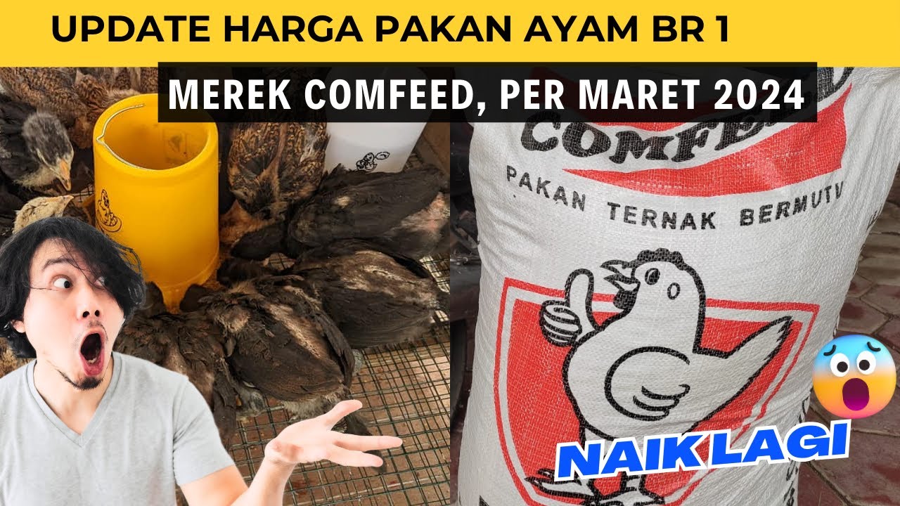 Harga Pakan Ayam Per Karung 2024 Merek Comfeed BR 1 untuk Joper