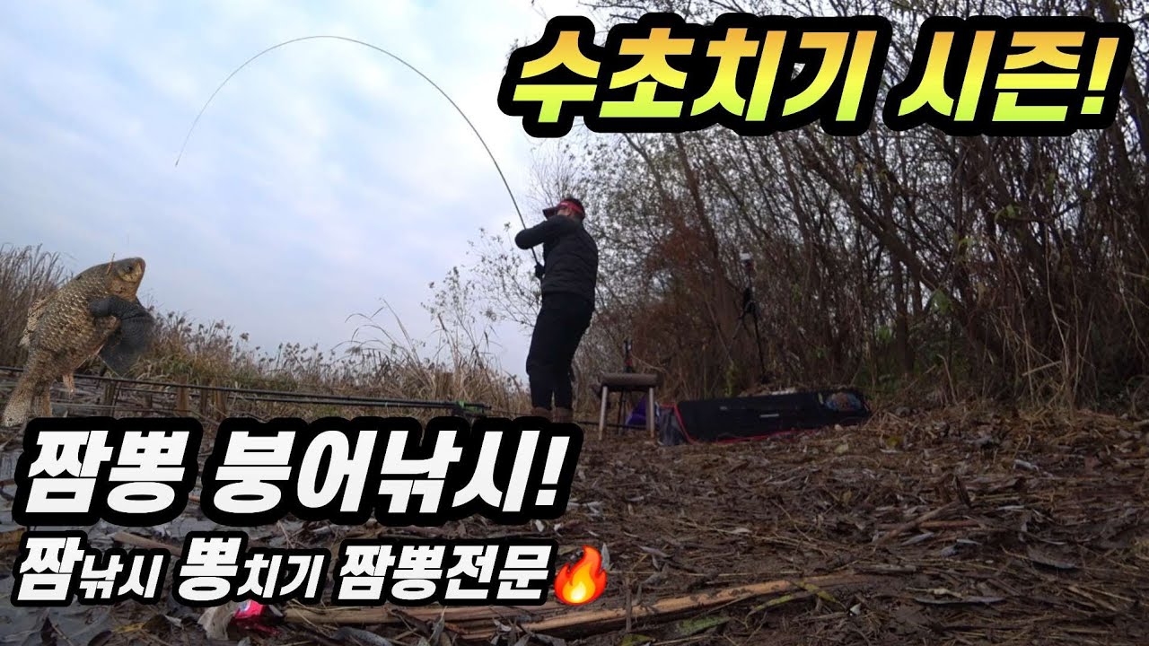 수초치기/뽕치기 낚시#문기어#슬로우찌#천안강성구#붕어낚시