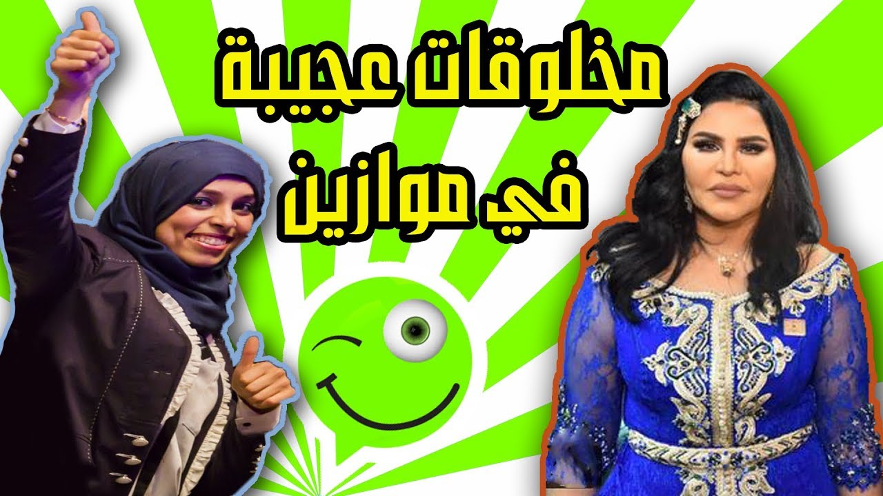 وافو - wavo | الحلقة Episode 5 &ndash;  ظهور مخلوقات عجيبة في موازين