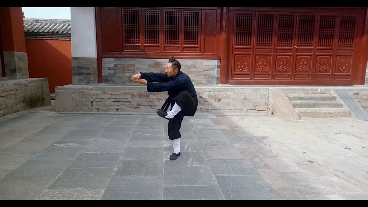 Wudang taiyi mianzhang---（武当太乙绵掌）