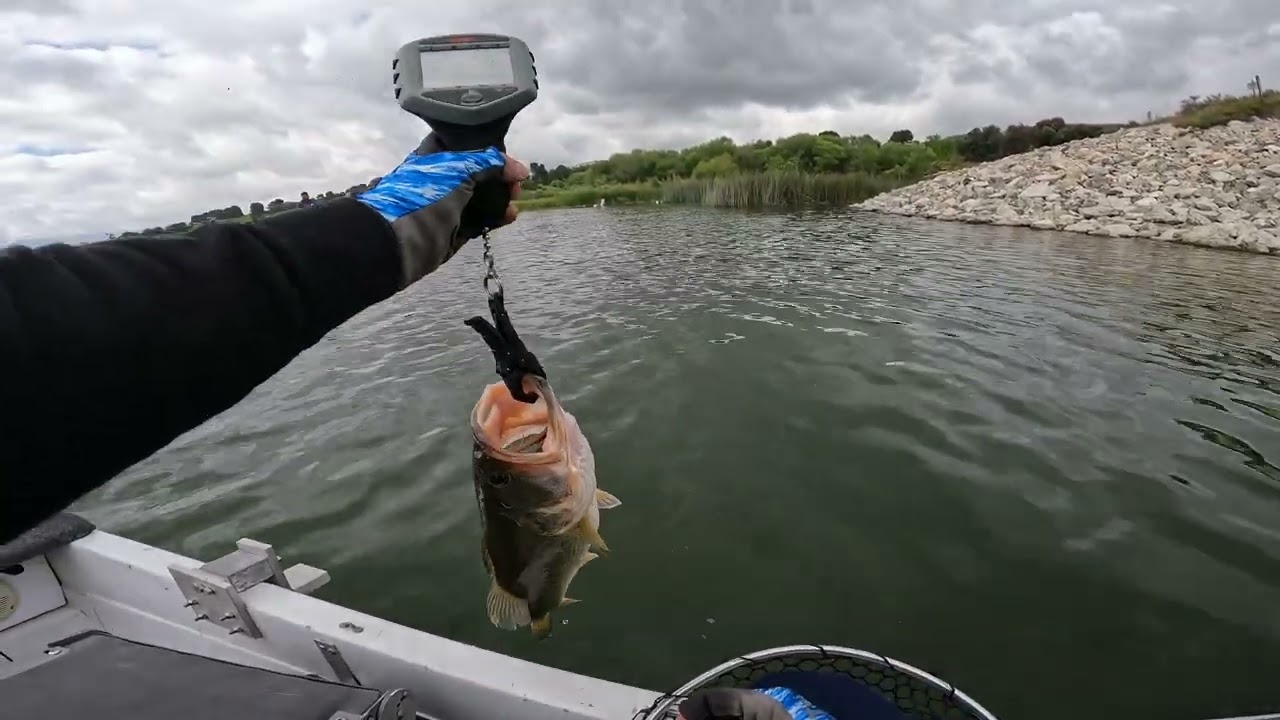 The most epic fishing day of my life! ( Castaic Lake, CA )