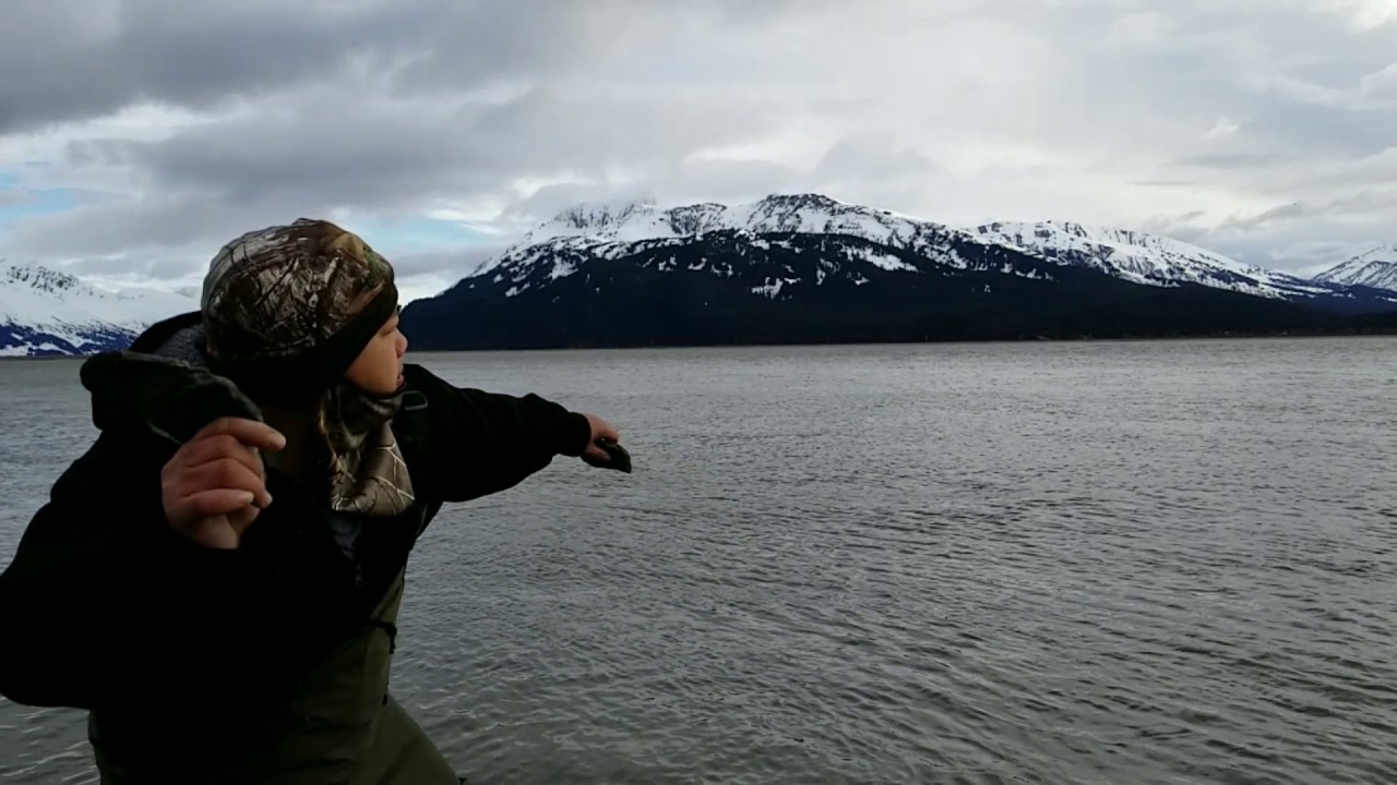 Alaska hooligan dip netting.