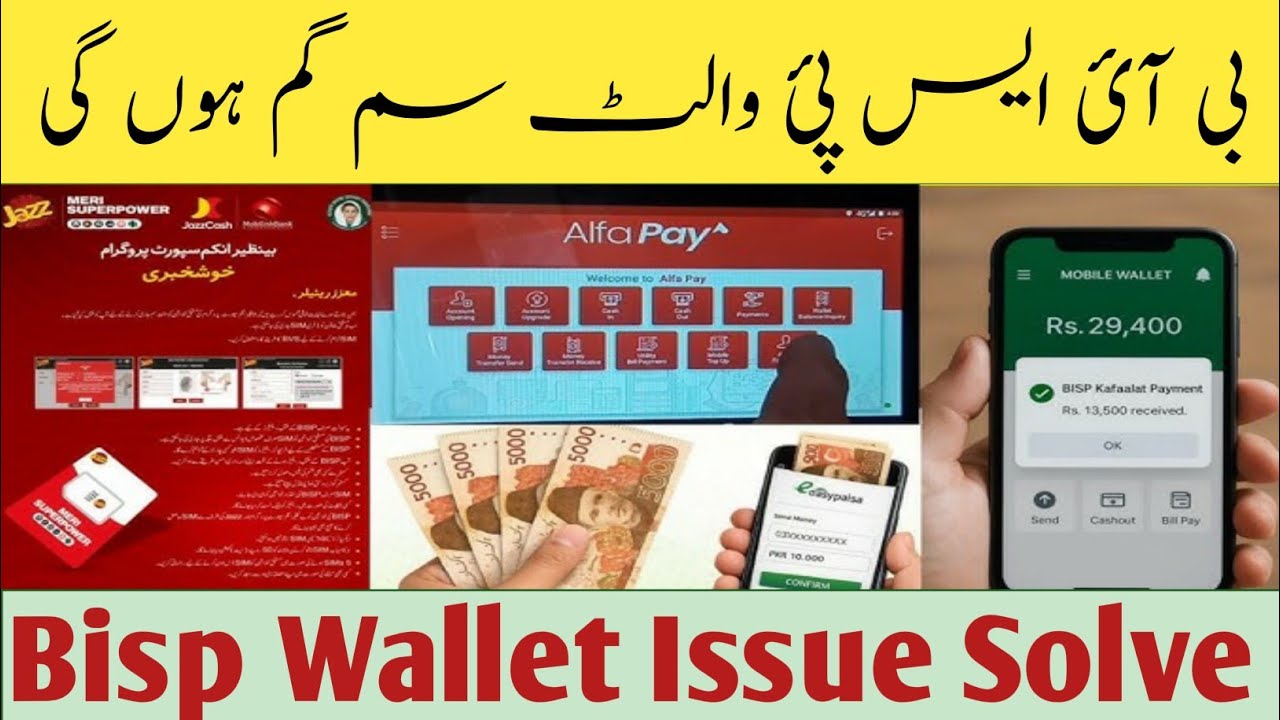Bisp wallet sim issue Solve | sim Gum Ho jaye  to kya Karein | bisp 8171 portal 2026