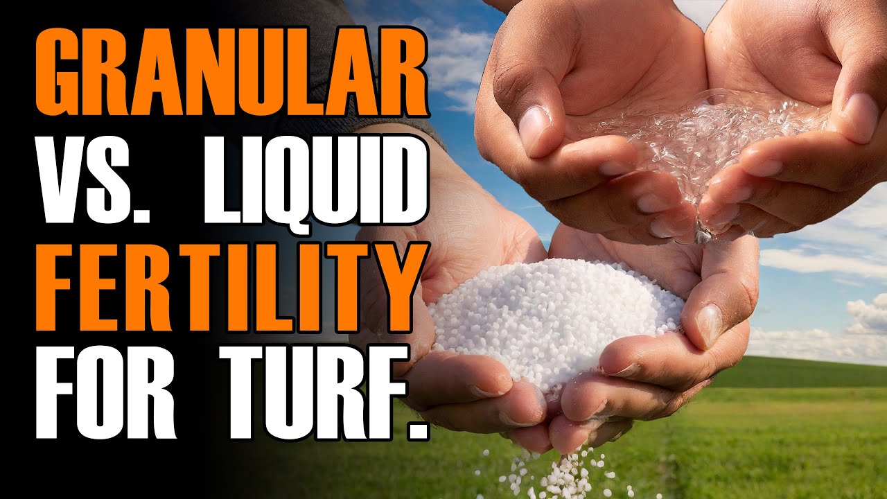 Granular vs. Liquid Programs for Turfgrass