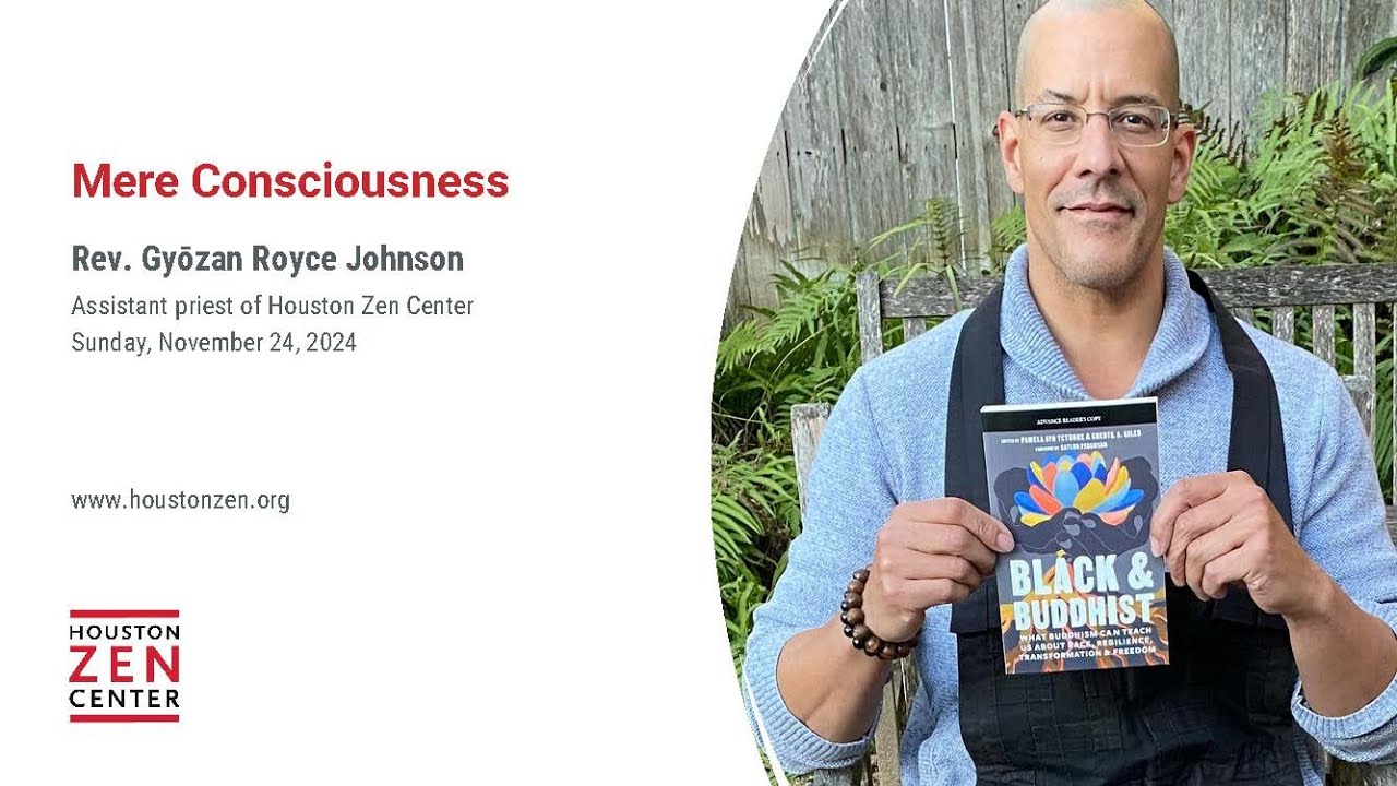 Mere Consciousness