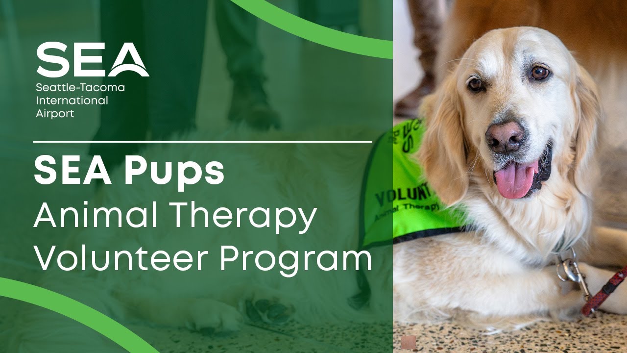 SEA Pups Animal Therapy Volunteer Program