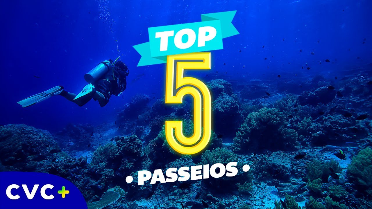 CVC + | TOP 5 Passeios em Porto Seguro