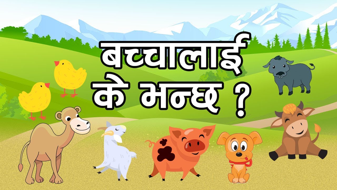 जनावरका बच्चालाई के भन्छ? | Animals & their Babies  | Learn Animal Names in Nepali