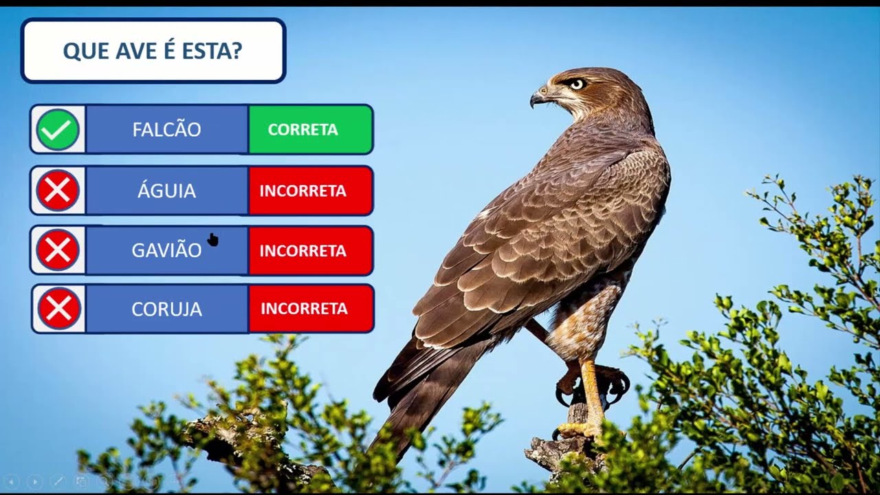 Perguntas e Respostas no PowerPoint 