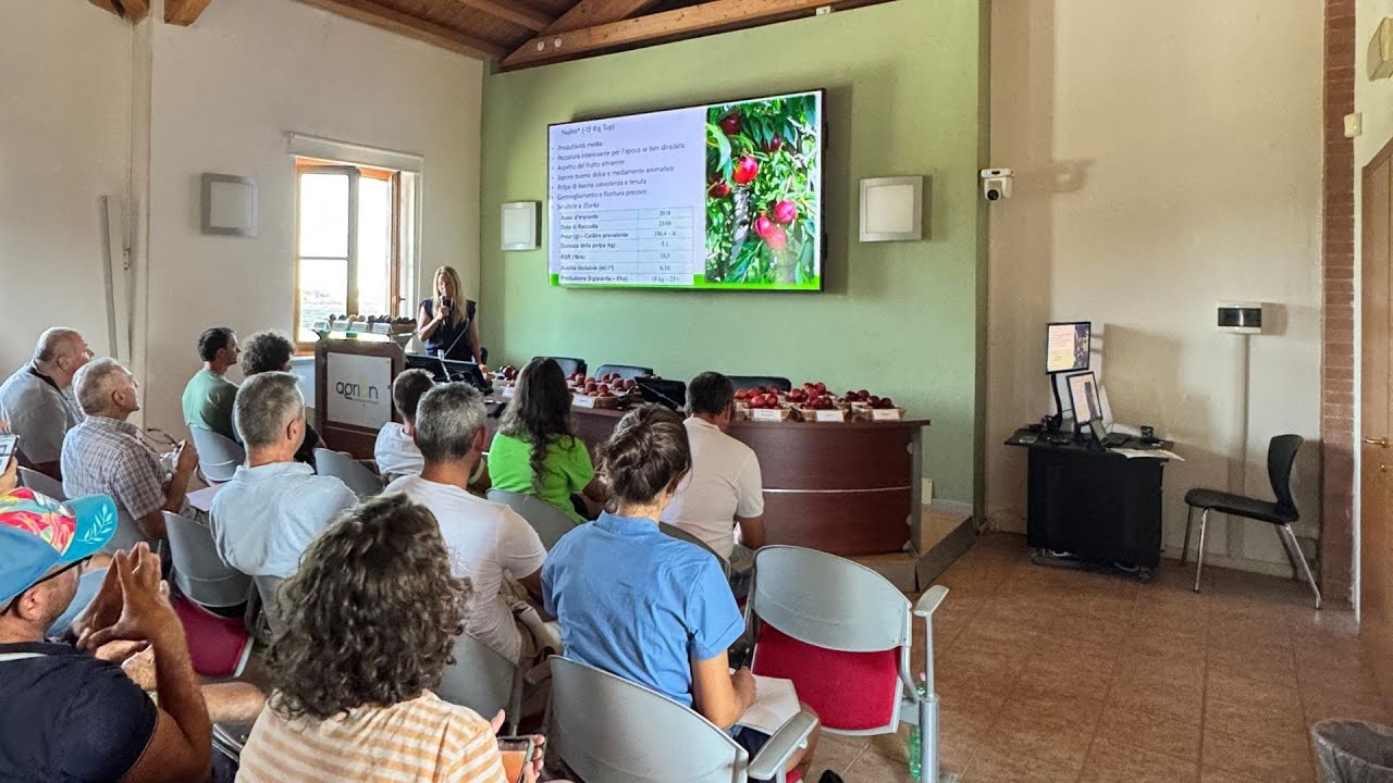 Incontro varietale Pesco, Susino e resoconto sulla ticchiolatura del melo   Fondazione Agrion