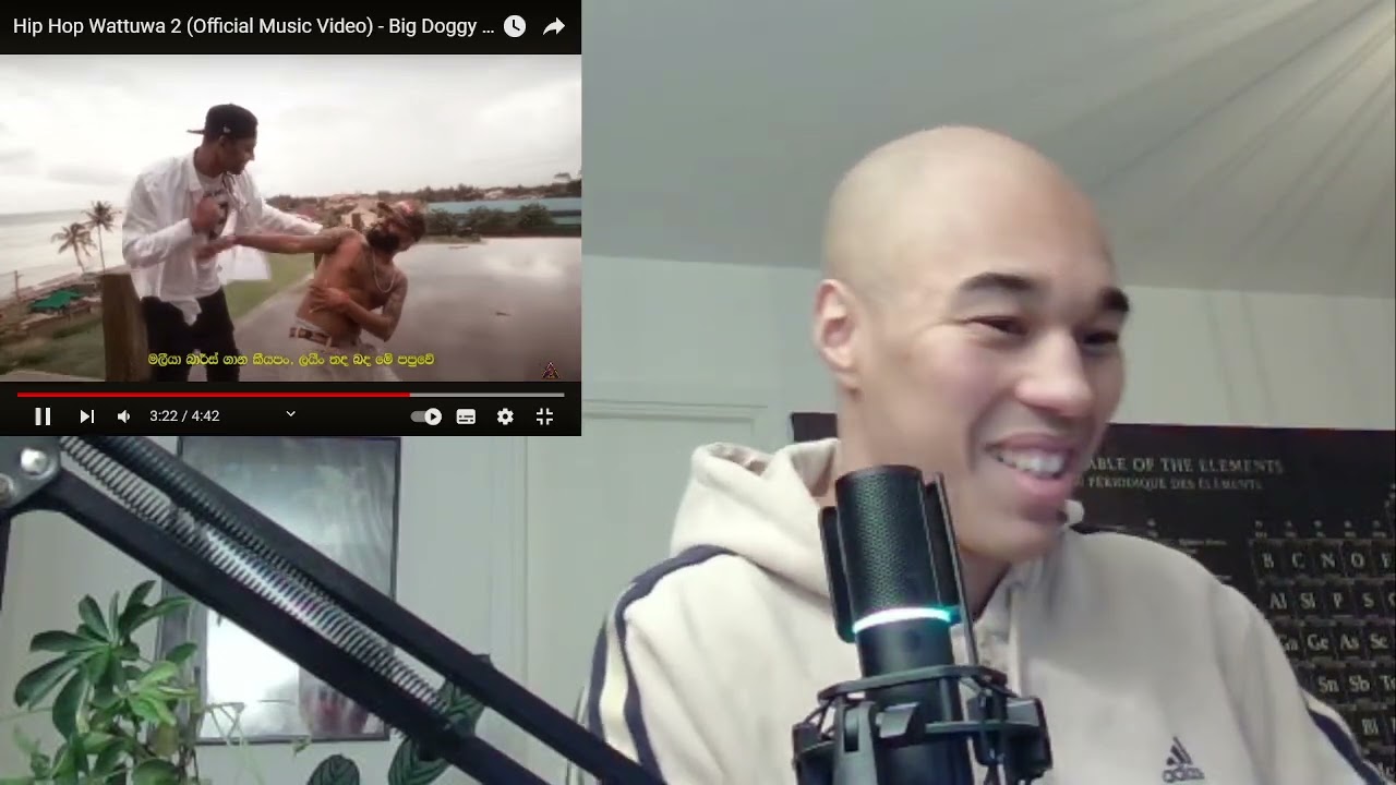 Hip Hop Wattuwa 2 (Official Music Video) - Big Doggy feat.Maliya REACTION!