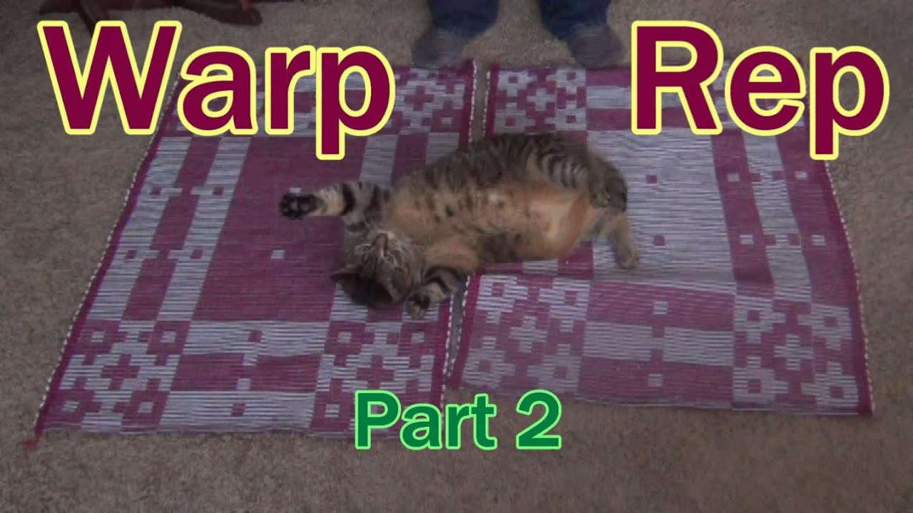 Warp Rep Part 2