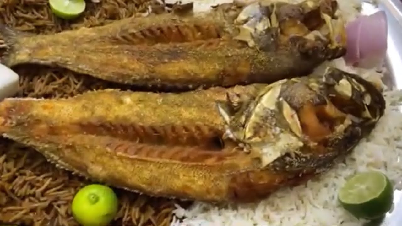 الرايس