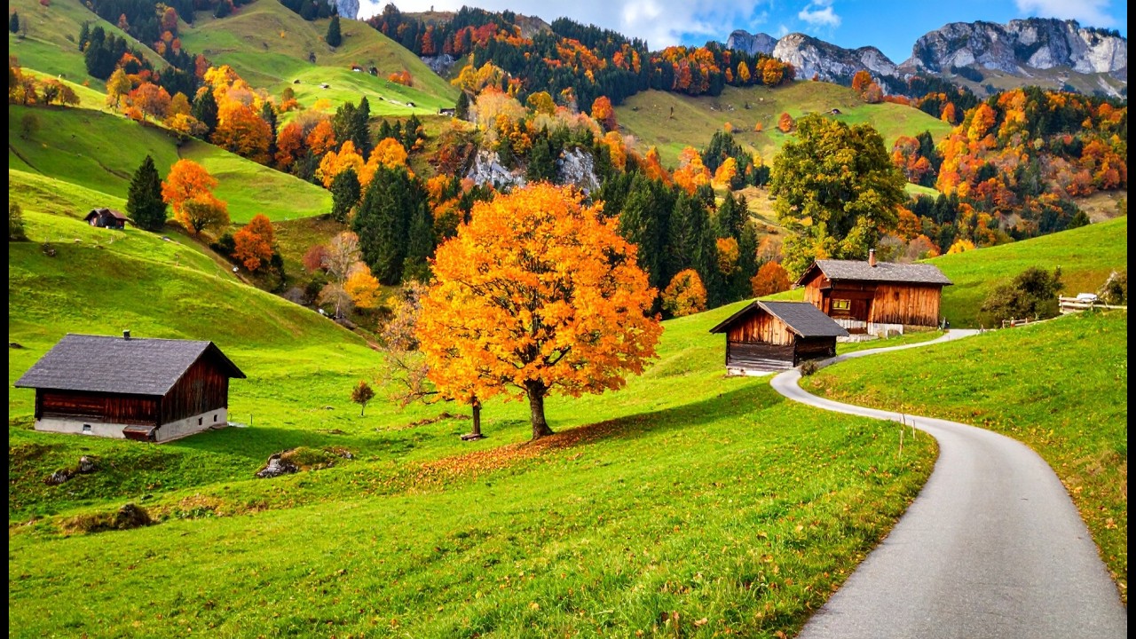 🍂✨ Switzerland’s Autumn Paradise: Appenzell in Golden Color