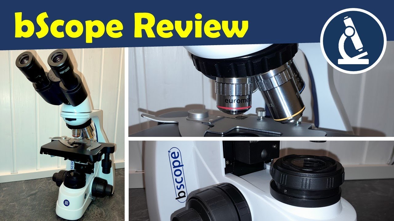 Обзор Euromex bScope