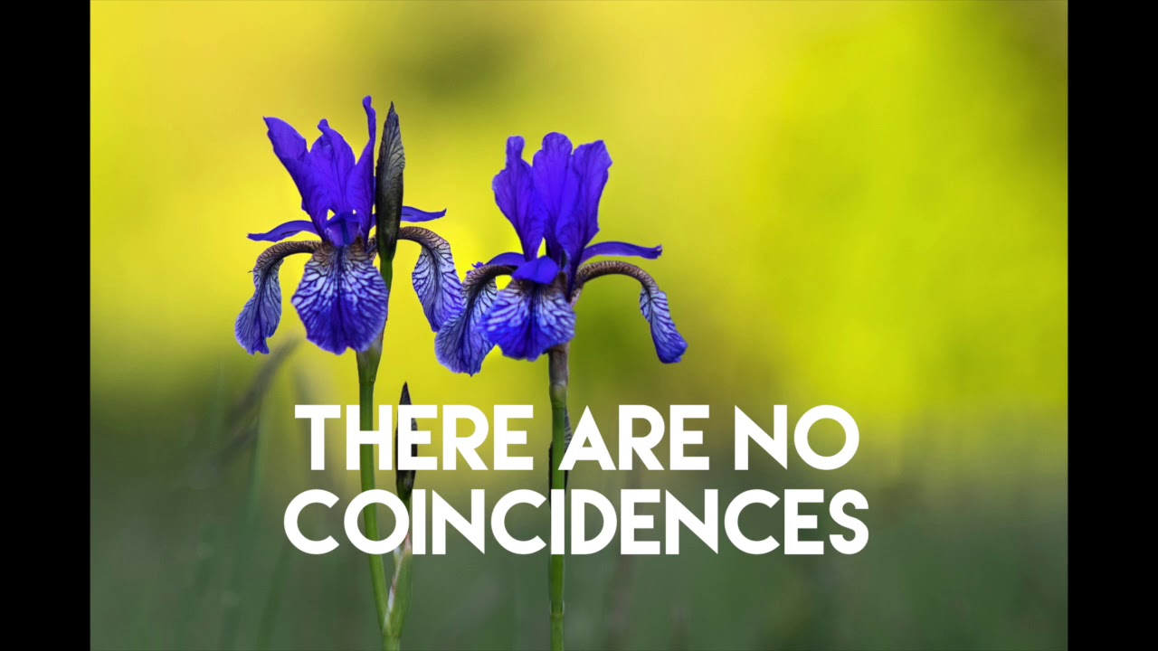 Divine Timing - There Are No Coincidences #AbrahamHicks #LawofAttraction