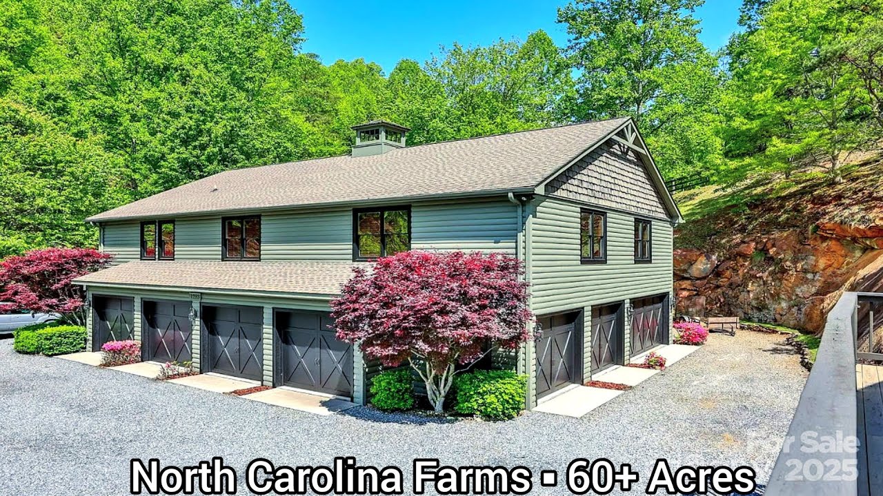 North Carolina Farms For Sale | 60+ Acres | North Carolina Land For Sale | Leafstone Farmland