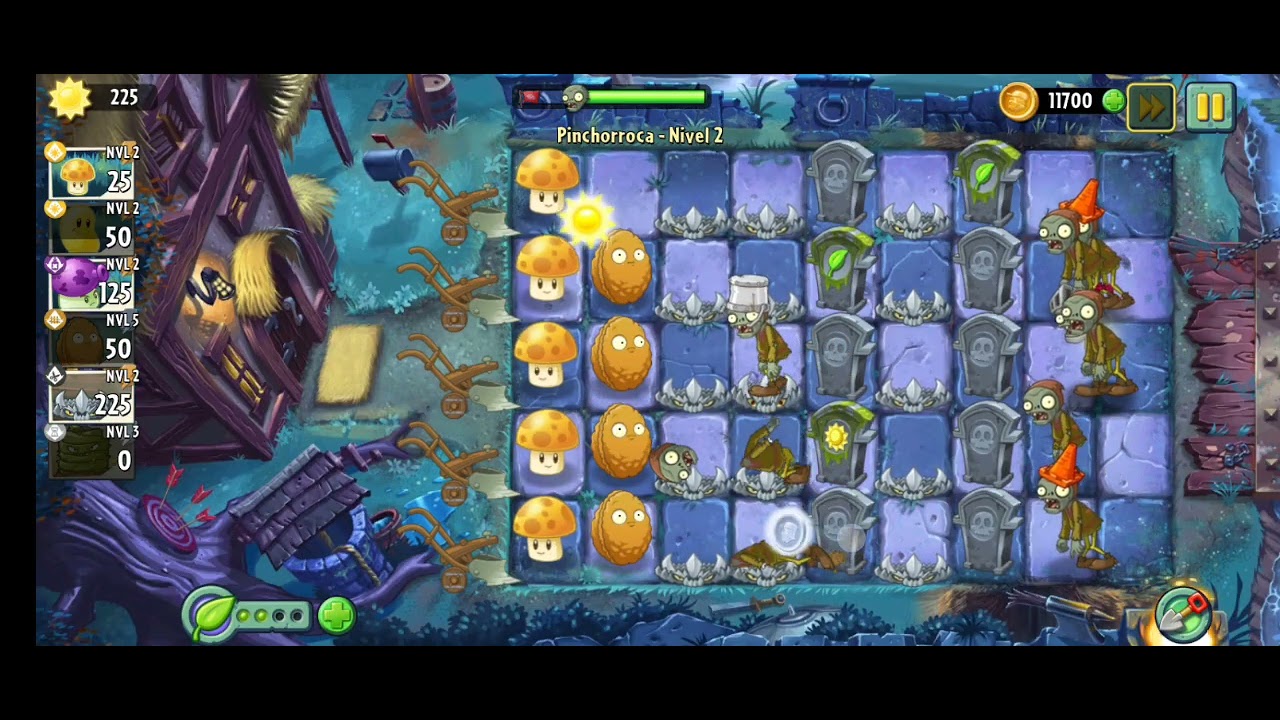 Pinchorroca planta del vivero PVZ2